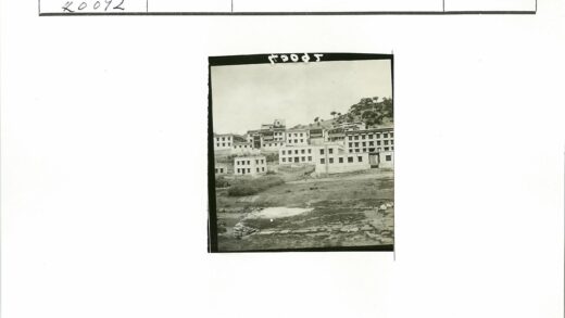 斜坡上的多层建筑与树木.jpg