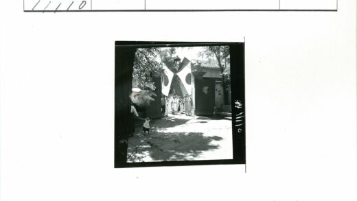 旗帜下的小孩与林荫道.jpg