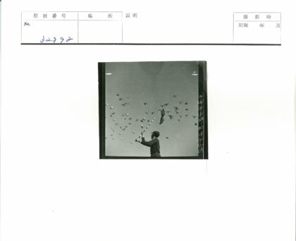 旗手与飞鸟的空中瞬间.jpg