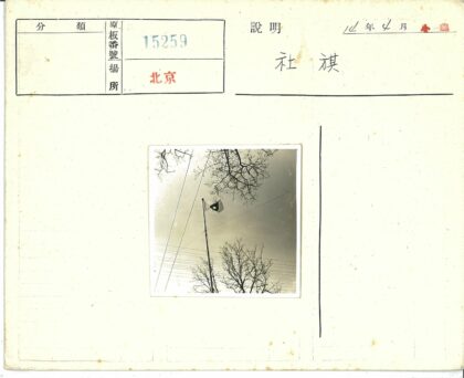 旗杆旗帜与枯枝电线.jpg