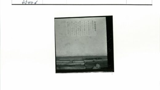 日文墙木板地角落猫.jpg