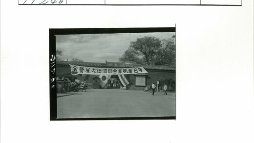 日本国旗横幅黑白街景.jpg
