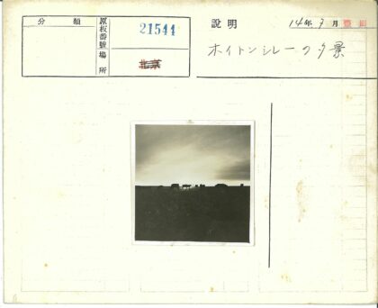 日落奶牛田野剪影.jpg