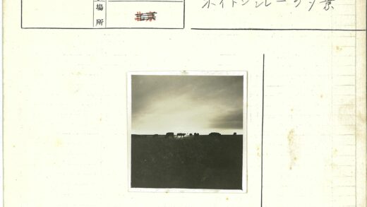 日落奶牛田野剪影.jpg