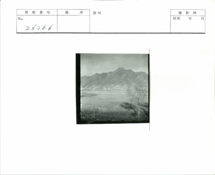 旷野孤树与远山云空.jpg