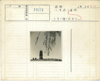 旷野高塔与悬枝晴空.jpg