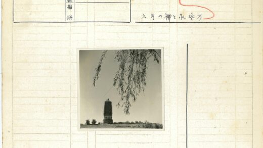 旷野高塔与悬枝晴空.jpg