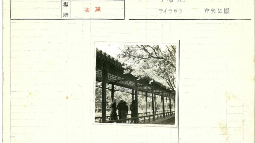 春日公园格子走廊花开盛景.jpg