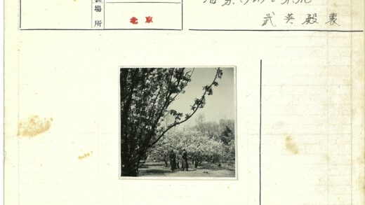 春日果园赏花记.jpg
