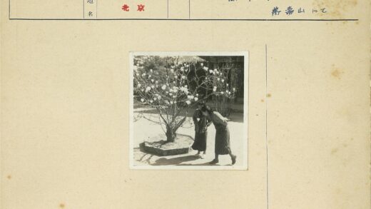 春日树下两女子赏花.jpg