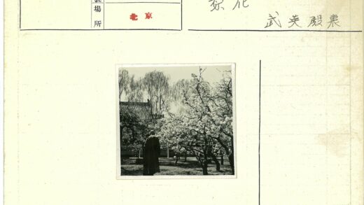 春日花园长外套漫步.jpg