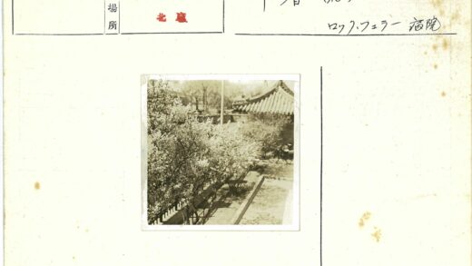 春日花开篱笆旁的自行车与老屋.jpg