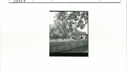 春日运河畔花开古建筑.jpg