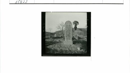 晴天墓地墓碑与荒树山丘.jpg