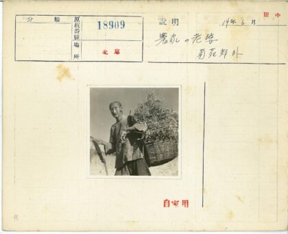 晴天户外提干草篮.jpg
