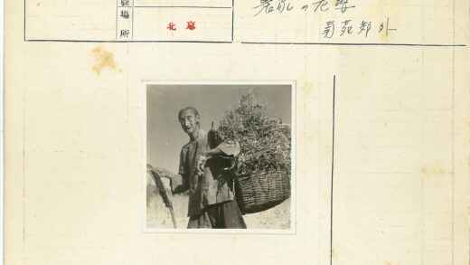 晴天户外提干草篮.jpg
