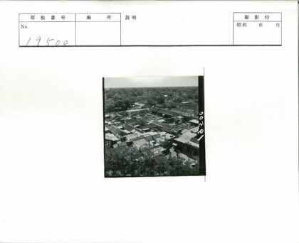 晴天树荫下瓦顶住宅区鸟瞰.jpg
