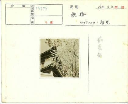 晴日古建花影间.jpg