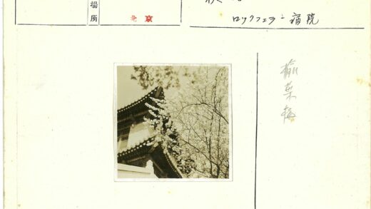 晴日古建花影间.jpg