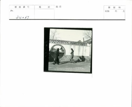晴日圆墙与树影.jpg