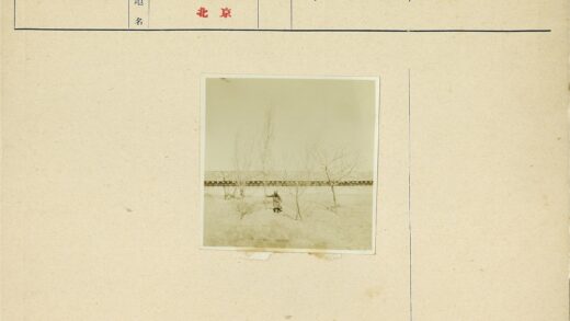 晴日树下孩童与墙.jpg