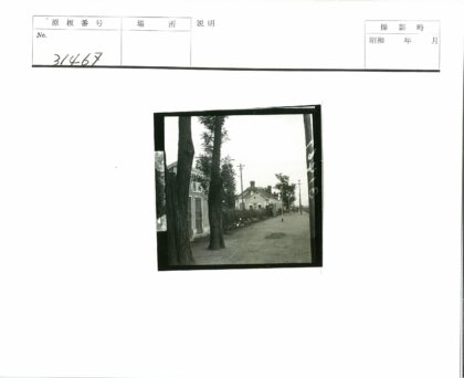晴日绿荫街道建筑树木.jpg