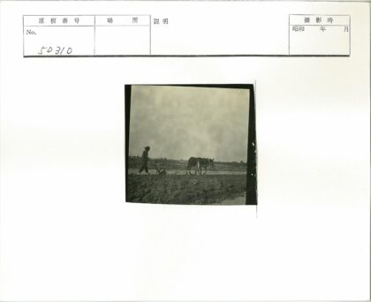 晴日骑马犁地劳作.jpg