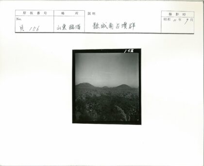 晴朗天空下广阔植被与远山景色.jpg