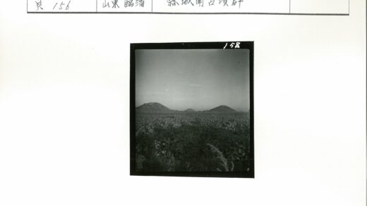 晴朗天空下广阔植被与远山景色.jpg
