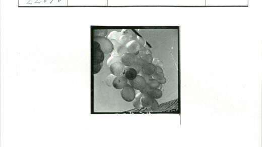 晴朗天空下漂浮的彩色气球.jpg