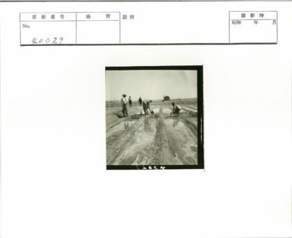 晴朗天空下的建筑人群.jpg