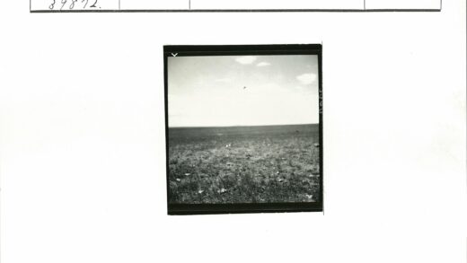 晴朗天空下的开阔草地风景.jpg
