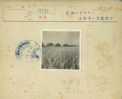 晴朗天空下车队草地聚集.jpg