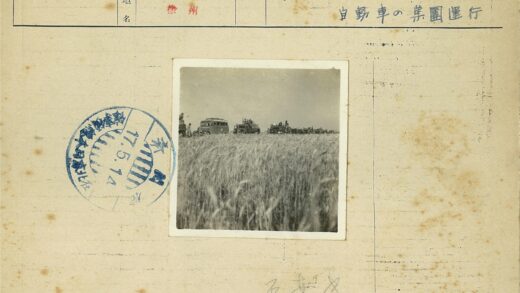 晴朗天空下车队草地聚集.jpg