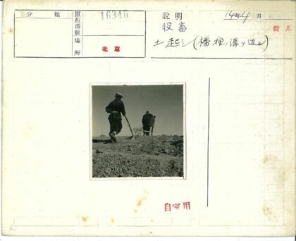 晴朗天空下骑马犁地.jpg