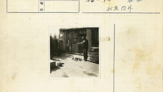 晴朗庭院喂鸡场景.jpg
