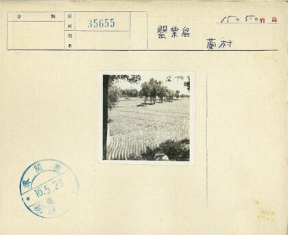 晴朗田野与树木风光.jpg