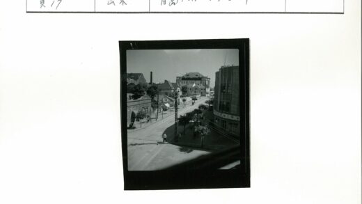 晴朗街道建筑与树木街景.jpg