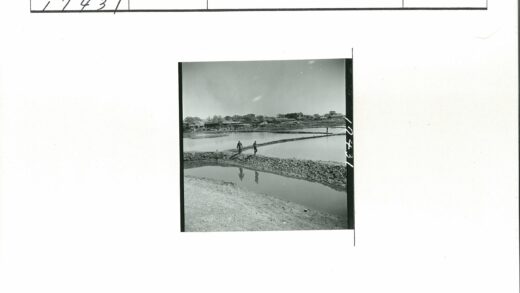 晴空下两人漫步林间小路.jpg