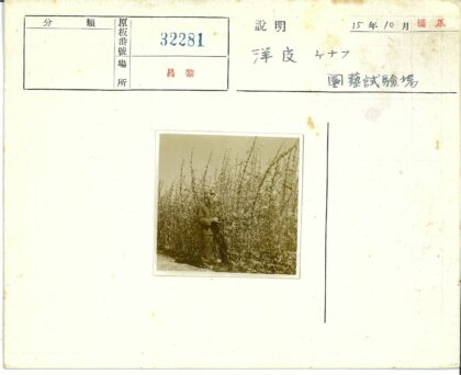 晴空下人与高大植物合影.jpg