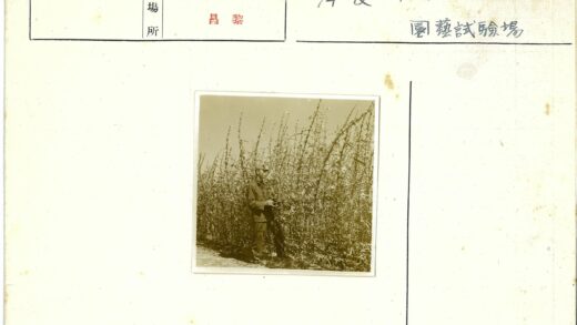晴空下人与高大植物合影.jpg