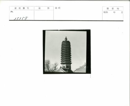 晴空下传统宝塔与枯树.jpg