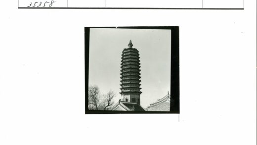 晴空下传统宝塔与枯树.jpg