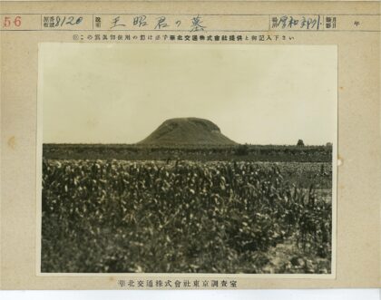 晴空下农田中央的小丘.jpg