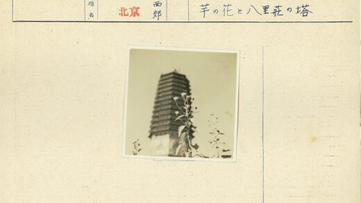 晴空下前景花与宝塔背景.jpg