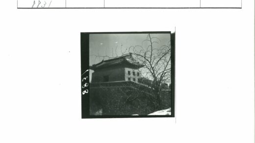 晴空下古树与传统建筑.jpg