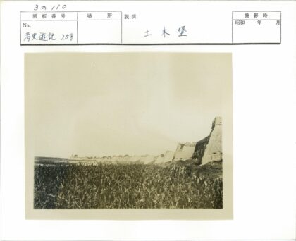 晴空下古老建筑与草地.jpg