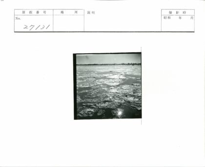 晴空下浮冰与远树景观.jpg