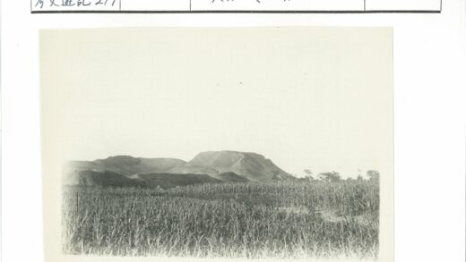 晴空下田野与远山景色.jpg