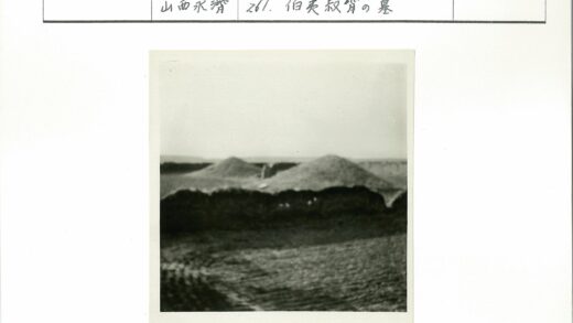 晴空下田野土丘风光.jpg